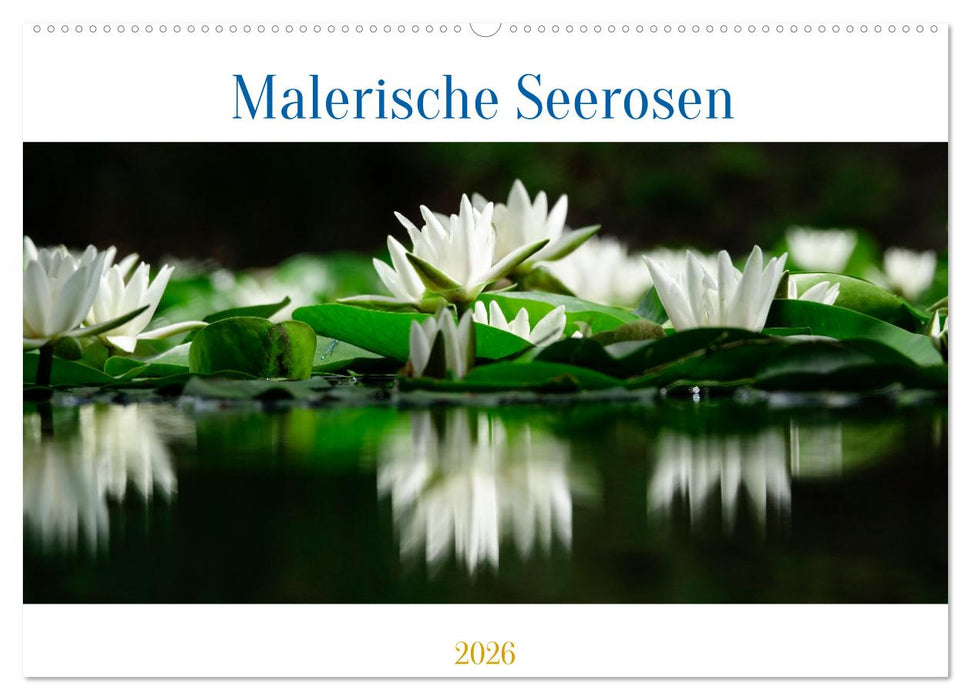 Malerische Seerosen (CALVENDO Wandkalender 2026)