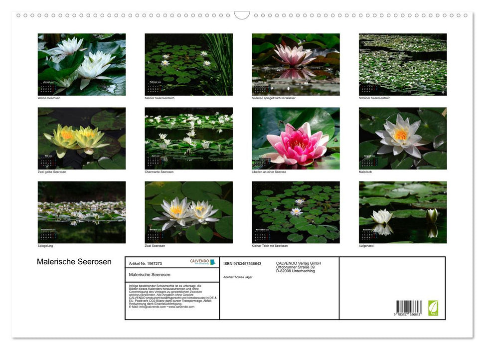 Malerische Seerosen (CALVENDO Wandkalender 2026)