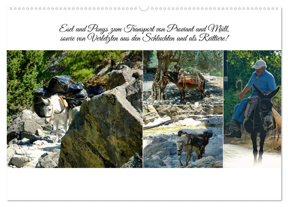 Typisch Kreta (CALVENDO Wandkalender 2026)