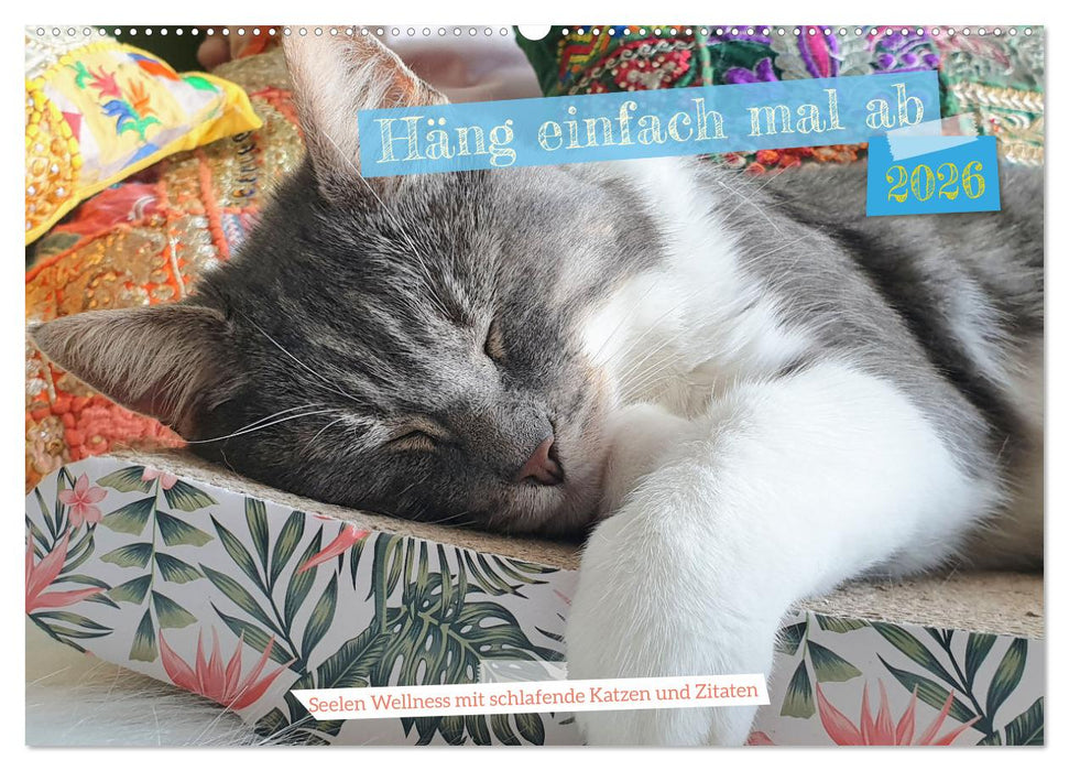 Häng einfach mal ab (CALVENDO Wandkalender 2026)