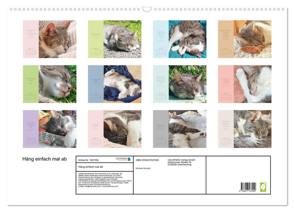 Häng einfach mal ab (CALVENDO Wandkalender 2026)