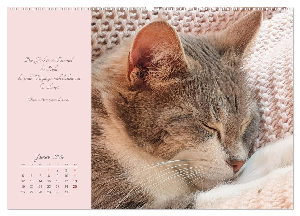 Häng einfach mal ab (CALVENDO Wandkalender 2026)