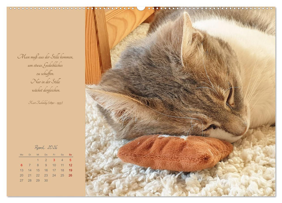 Häng einfach mal ab (CALVENDO Wandkalender 2026)