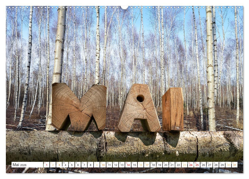 Holz, ein fantastischer Rohstoff. (CALVENDO Wandkalender 2026)