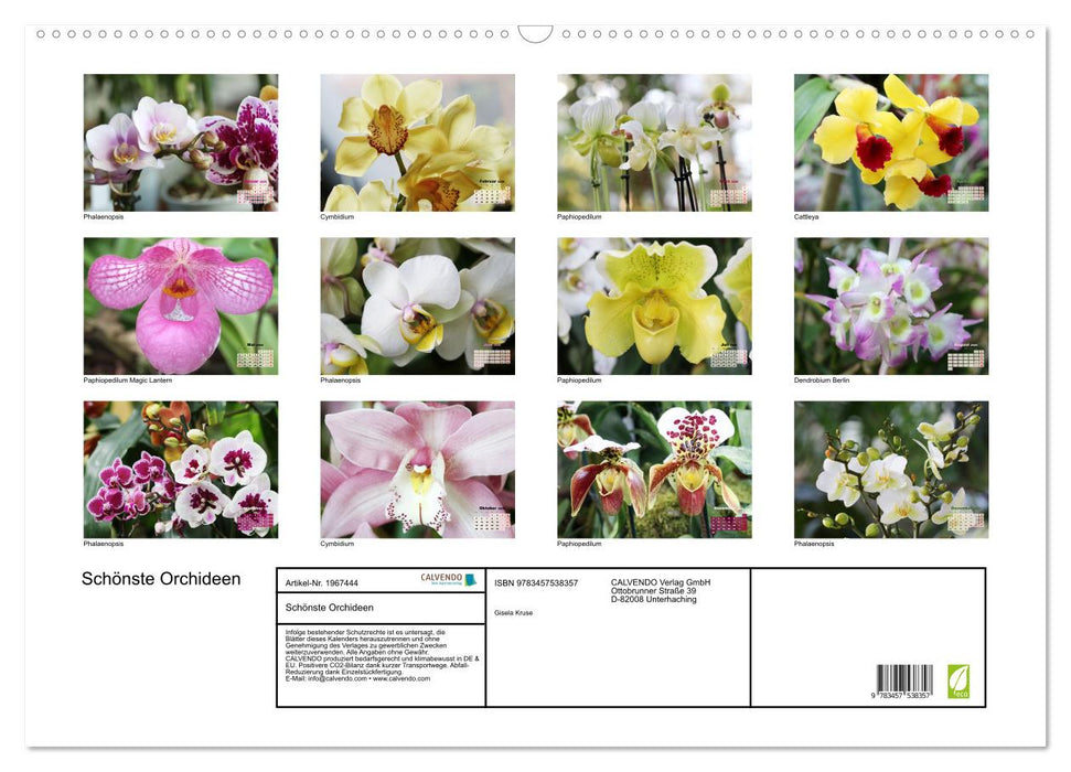 Schönste Orchideen (CALVENDO Wandkalender 2026)