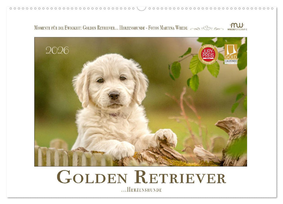 Golden Retriever... Herzenshunde (CALVENDO Wandkalender 2026)