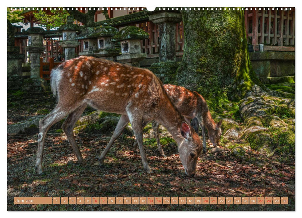 Japan - Land der Vielfalt (CALVENDO Wandkalender 2026)