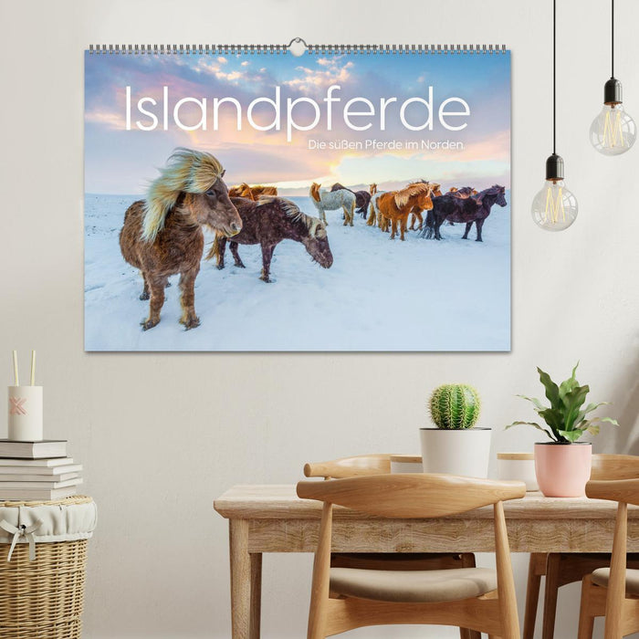 Islandpferde - Die süßen Pferde im Norden. (CALVENDO Wandkalender 2026)