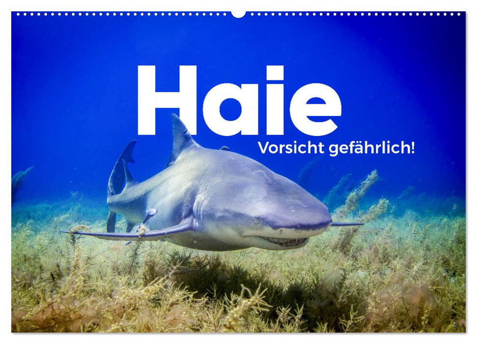 Haie - Vorsicht gefährlich! (CALVENDO Wandkalender 2026)