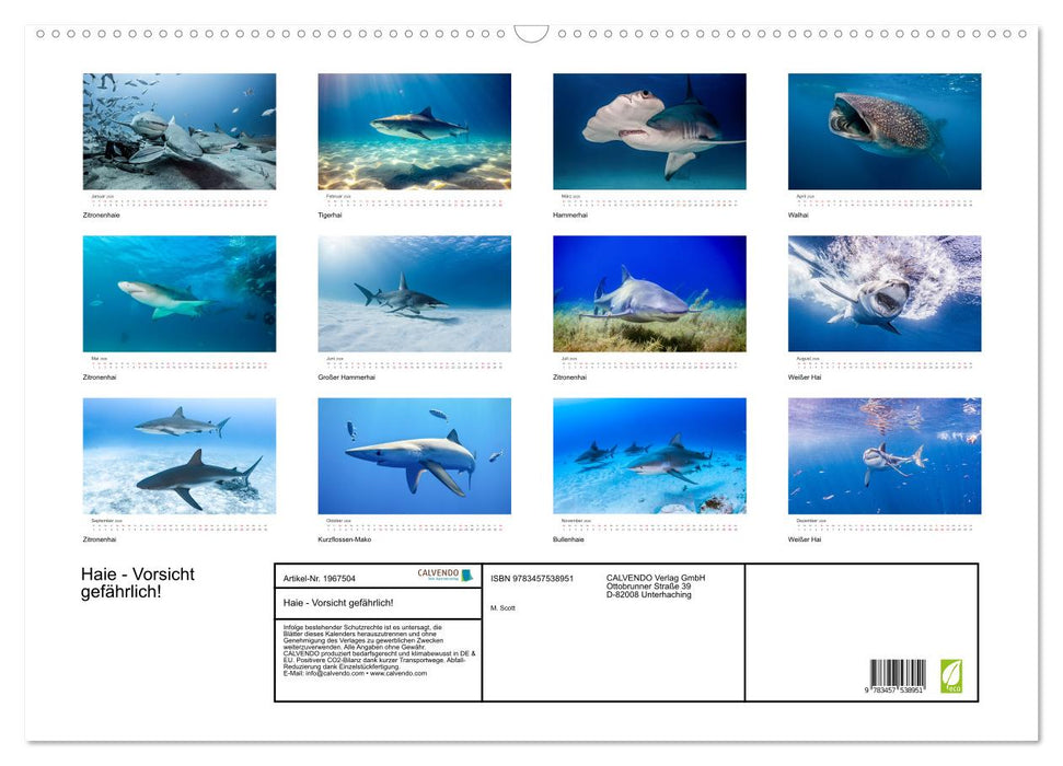 Haie - Vorsicht gefährlich! (CALVENDO Wandkalender 2026)