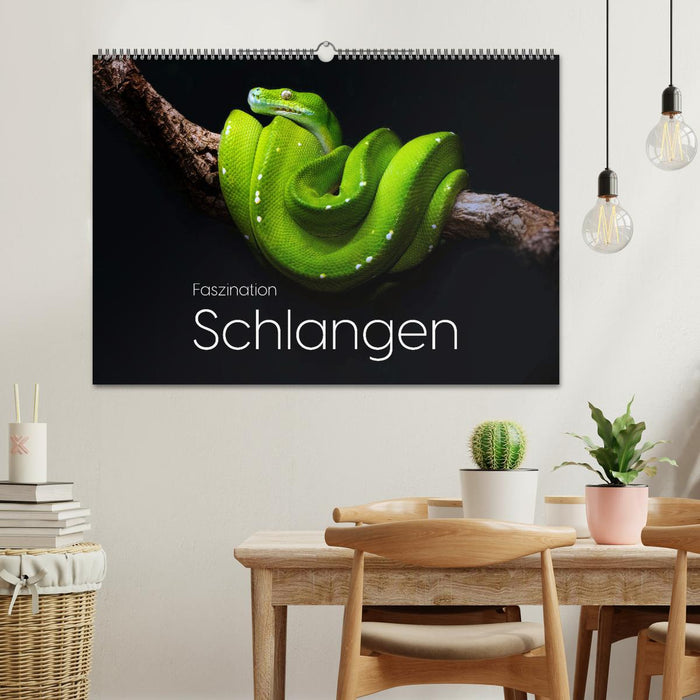 Faszination Schlangen (CALVENDO Wandkalender 2026)