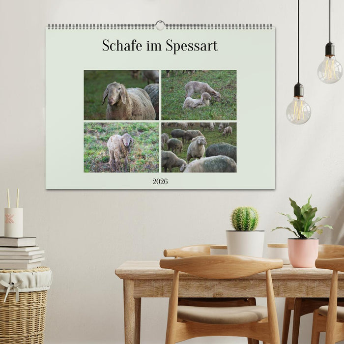 Schafe im Spessart (CALVENDO Wandkalender 2026)