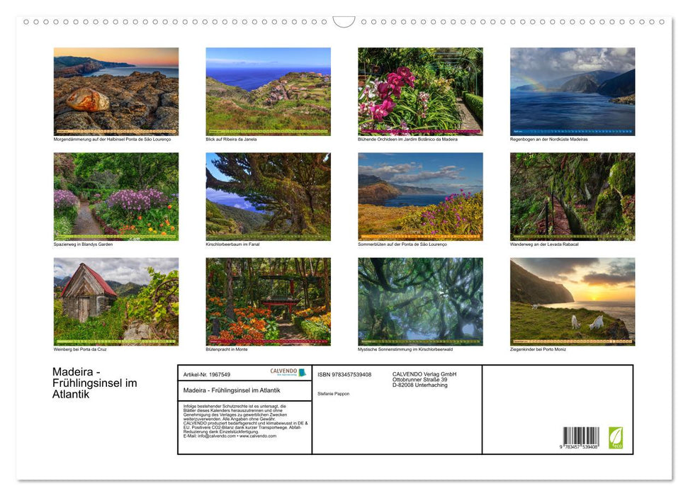 Madeira - Frühlingsinsel im Atlantik (CALVENDO Wandkalender 2026)