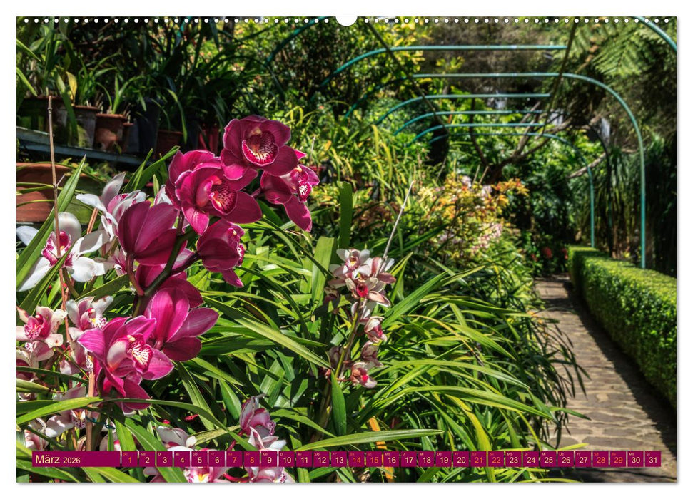 Madeira - Frühlingsinsel im Atlantik (CALVENDO Wandkalender 2026)