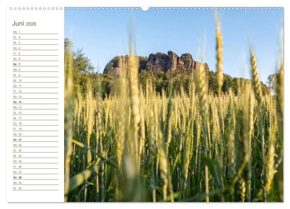 Pfaffenstein Perspektiven - Elbsandstein (CALVENDO Wandkalender 2026)