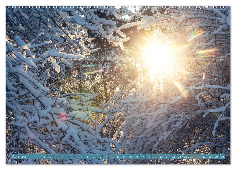 Winter im Meißner Hinterland (CALVENDO Wandkalender 2026)