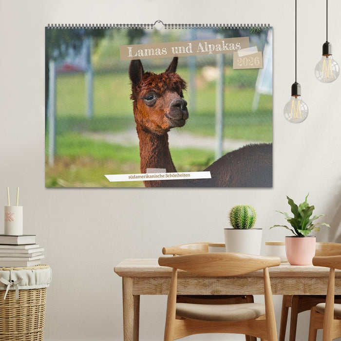 Lamas und Alpakas - südamerikanische Schönheiten (CALVENDO Wandkalender 2026)
