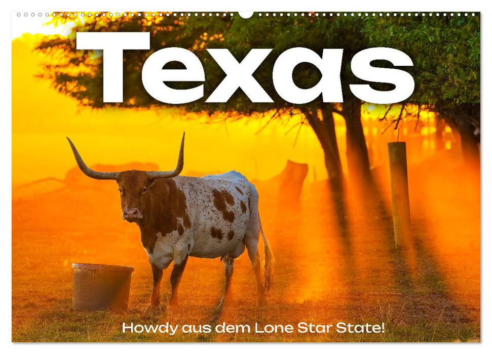 Texas - Howdy aus dem Lone Star State! (CALVENDO Wandkalender 2026)