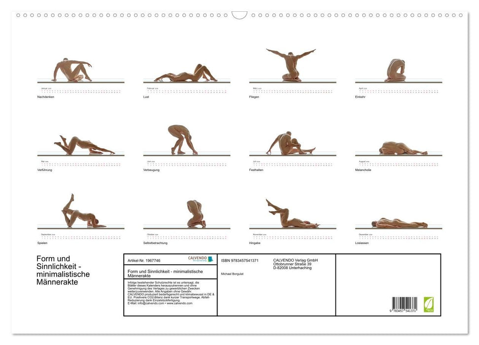 Form und Sinnlichkeit - minimalistische Männerakte (CALVENDO Wandkalender 2026)