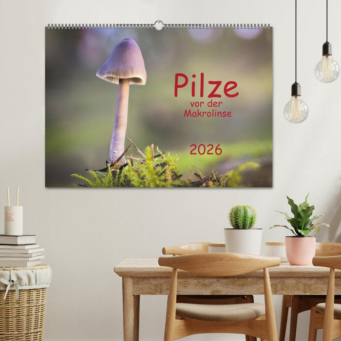 Pilze vor der Makrolinse 2026 (CALVENDO Wandkalender 2026)