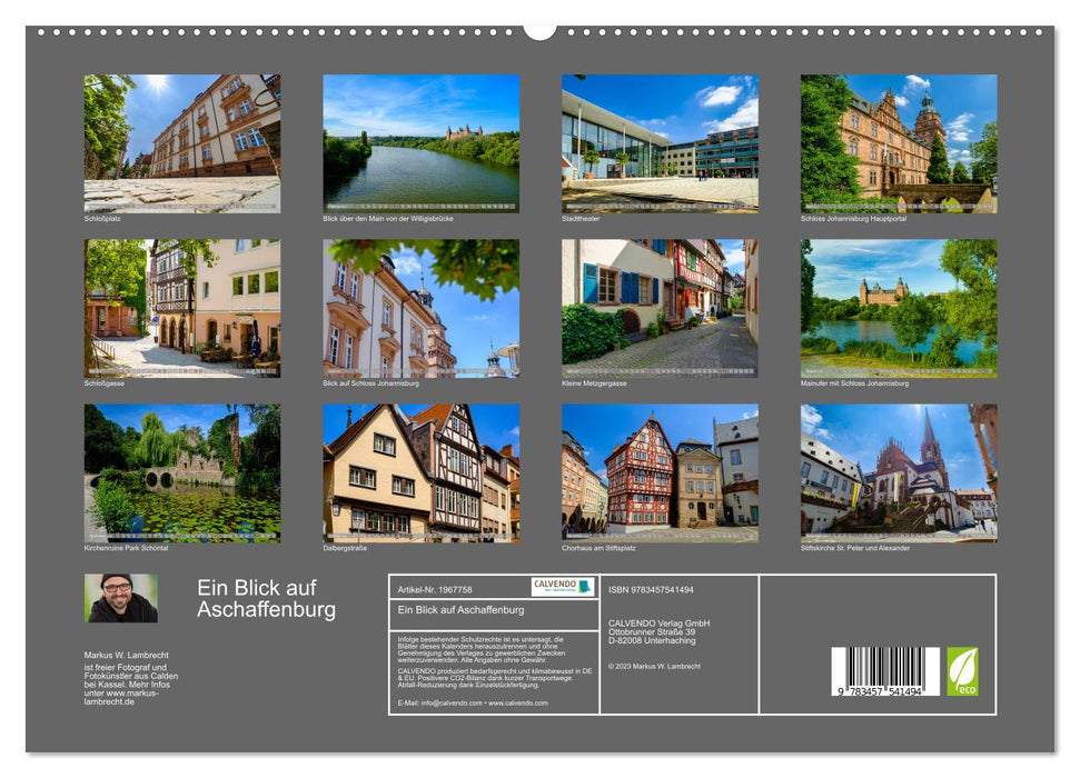 Ein Blick auf Aschaffenburg (CALVENDO Premium Wandkalender 2026)