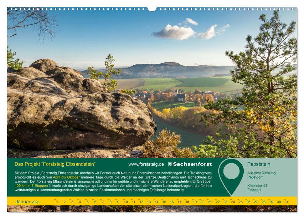 Erlebnis Forststeig Elbsandstein (CALVENDO Wandkalender 2026)