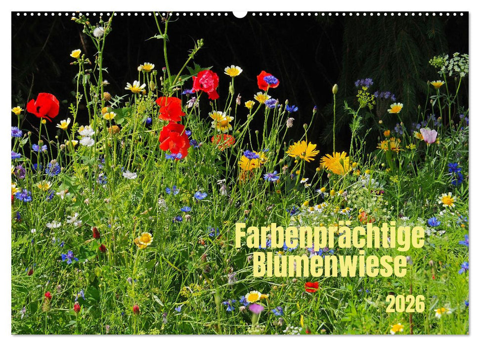 Farbenprächtige Blumenwiese (CALVENDO Wandkalender 2026)