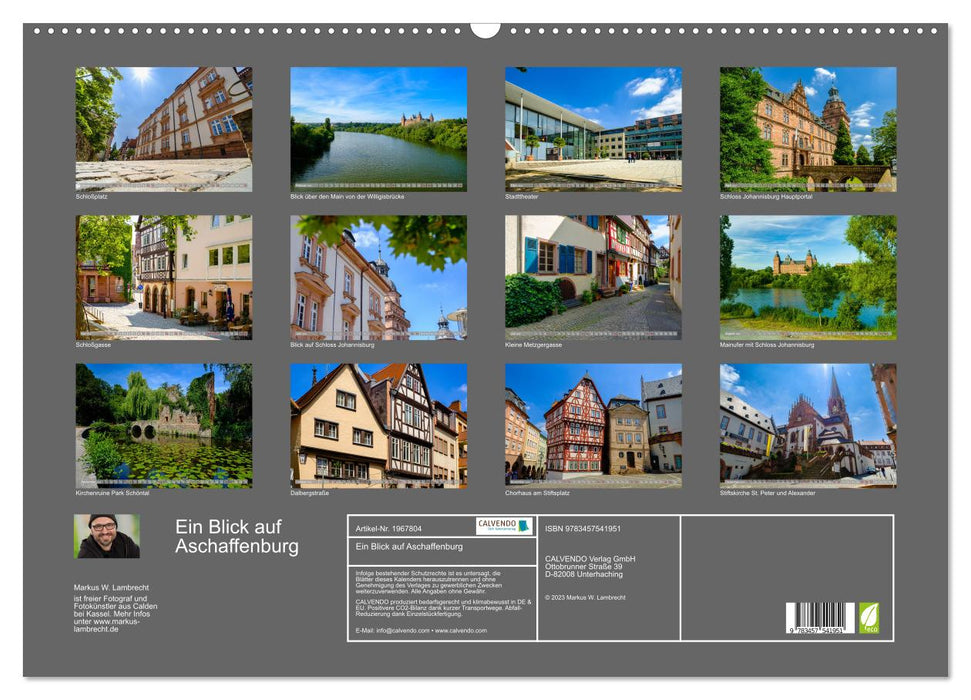 Ein Blick auf Aschaffenburg (CALVENDO Wandkalender 2026)