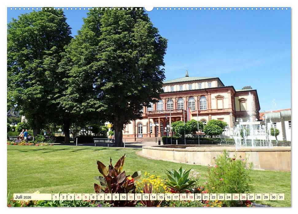 Neustadt an der Weinstaße - Fachwerk, Wein und gemütliche Gassen (CALVENDO Premium Wandkalender 2026)