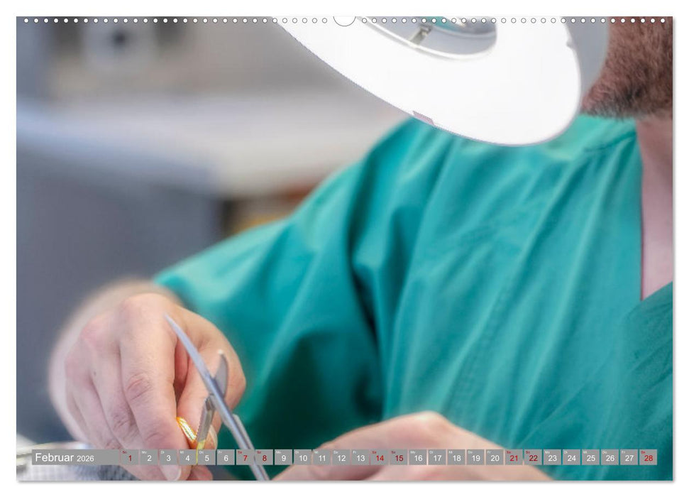 Hospital FotoArt (CALVENDO Wandkalender 2026)
