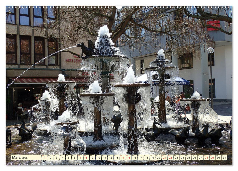 Neustadt an der Weinstaße - Fachwerk, Wein und gemütliche Gassen (CALVENDO Wandkalender 2026)