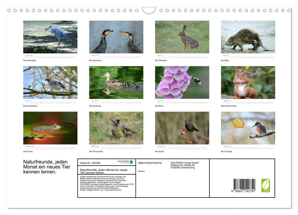 Naturfreunde, jeden Monat ein neues Tier kennen lernen. (CALVENDO Wandkalender 2026)