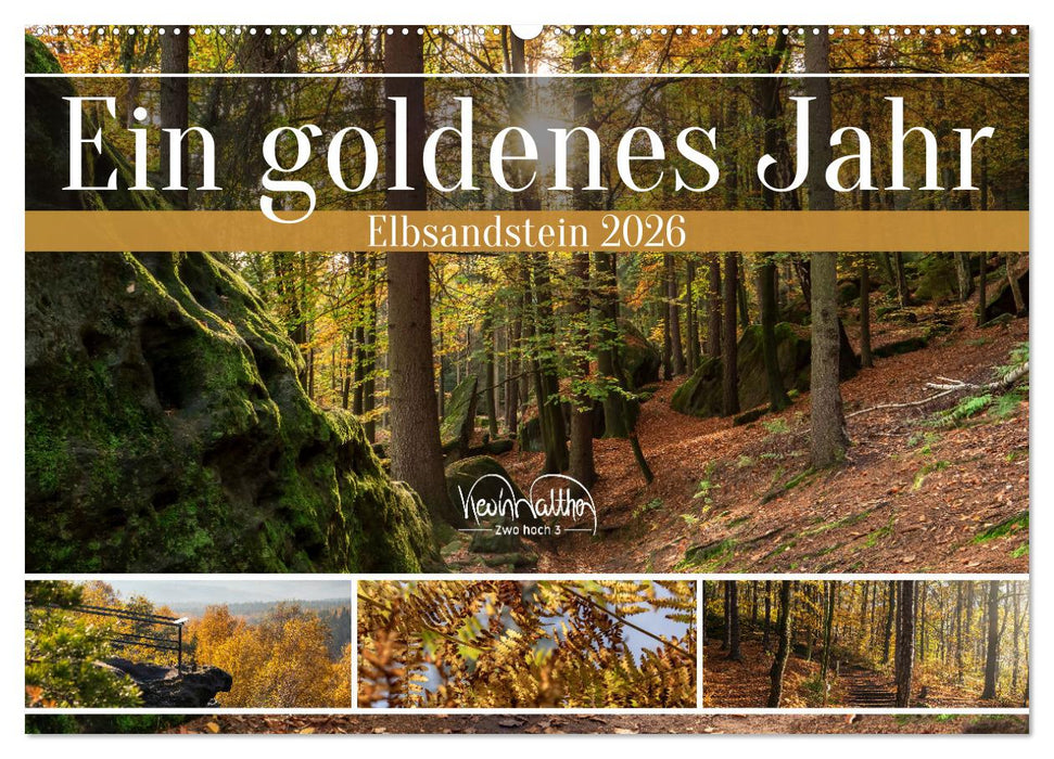 Ein goldenes Jahr - Elbsandstein (CALVENDO Wandkalender 2026)