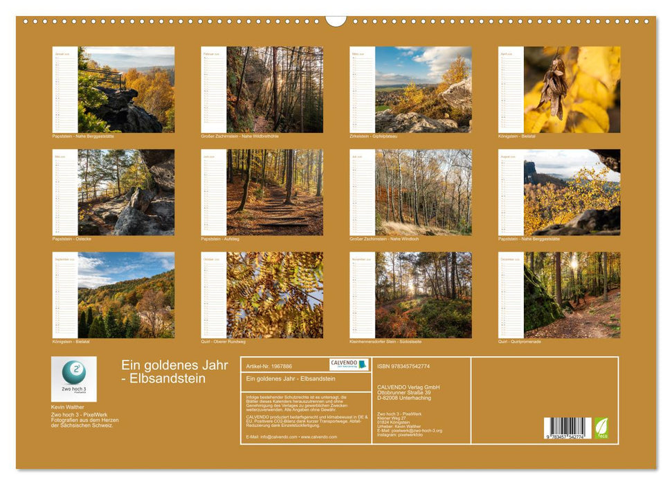 Ein goldenes Jahr - Elbsandstein (CALVENDO Wandkalender 2026)