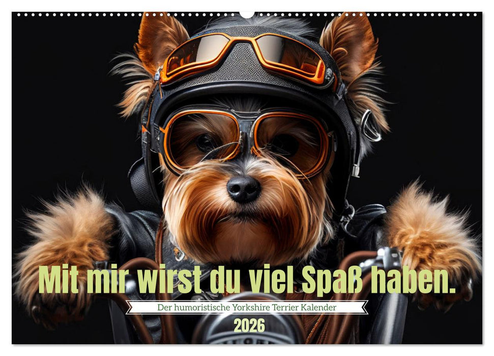 Der humoristische Yorkshire Terrier Kalender (CALVENDO Wandkalender 2026)