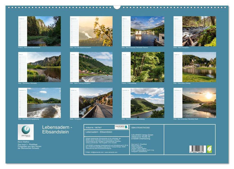 Lebensadern - Elbsandstein (CALVENDO Wandkalender 2026)