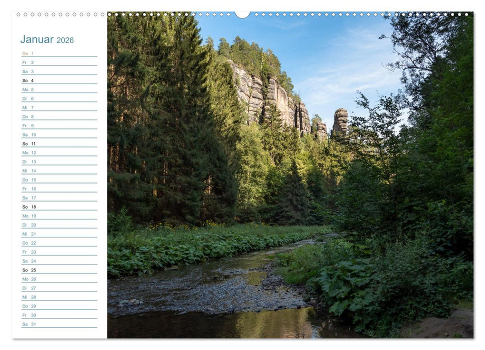 Lebensadern - Elbsandstein (CALVENDO Wandkalender 2026)