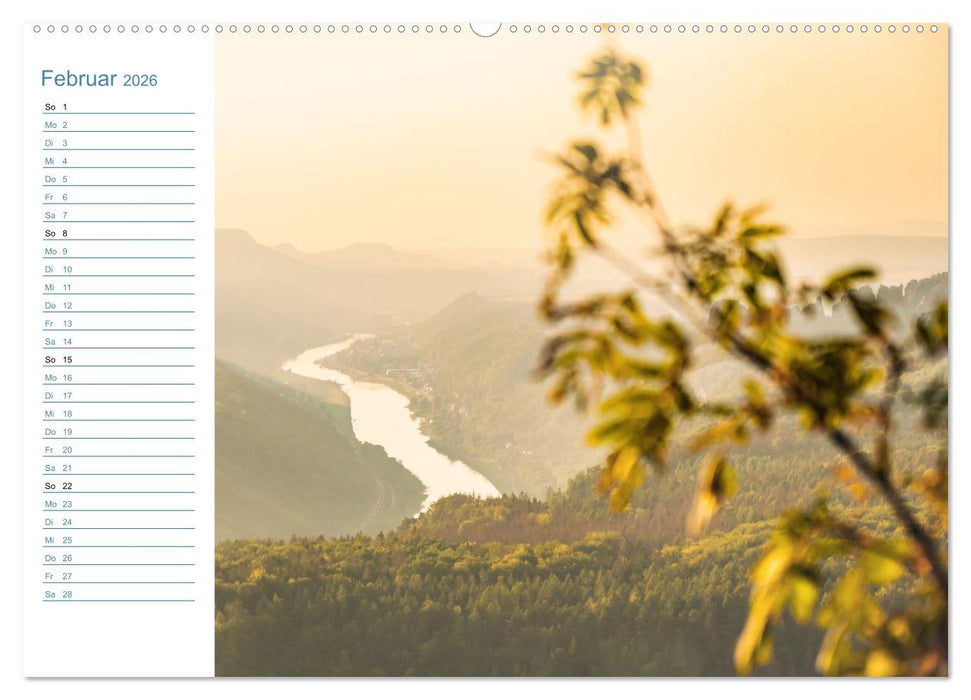 Lebensadern - Elbsandstein (CALVENDO Wandkalender 2026)