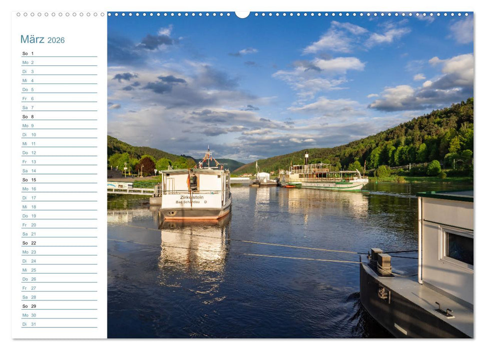 Lebensadern - Elbsandstein (CALVENDO Wandkalender 2026)