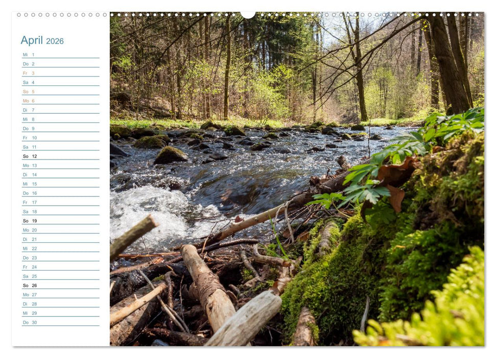 Lebensadern - Elbsandstein (CALVENDO Wandkalender 2026)