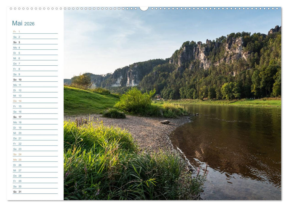 Lebensadern - Elbsandstein (CALVENDO Wandkalender 2026)