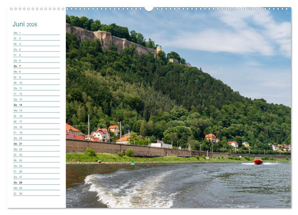 Lebensadern - Elbsandstein (CALVENDO Wandkalender 2026)