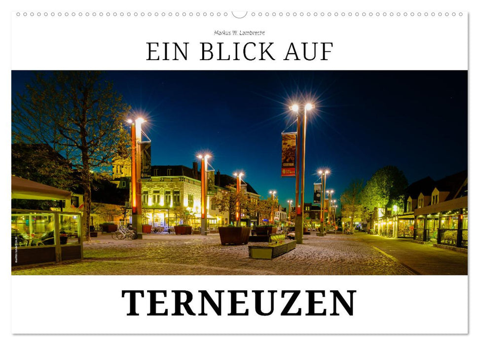 Ein Blick auf Terneuzen (CALVENDO Wandkalender 2026)