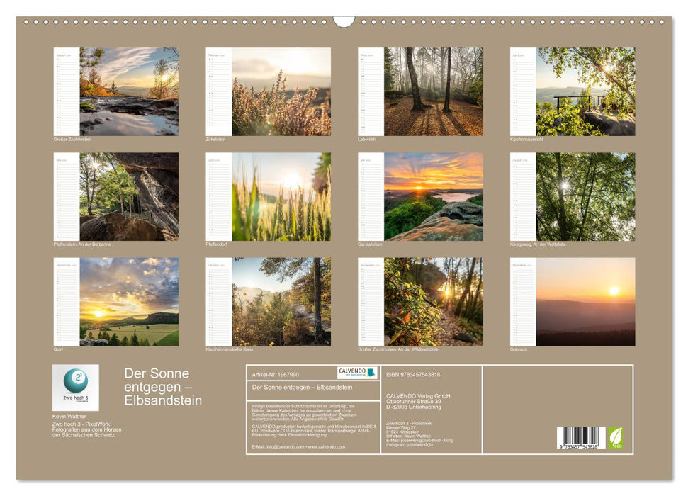 Der Sonne entgegen – Elbsandstein (CALVENDO Wandkalender 2026)