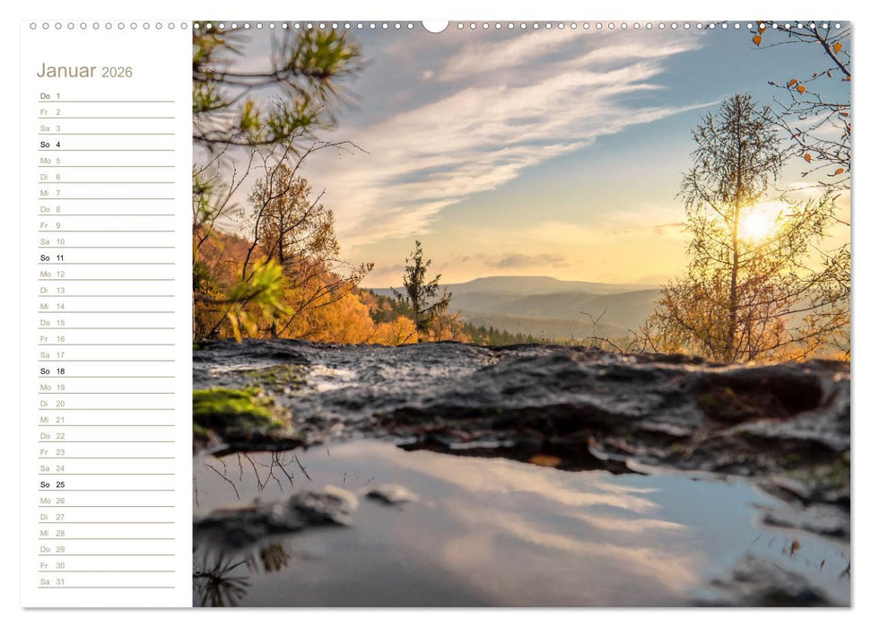 Der Sonne entgegen – Elbsandstein (CALVENDO Wandkalender 2026)
