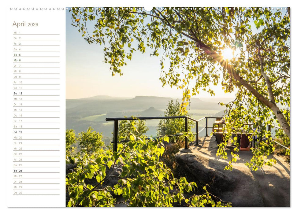 Der Sonne entgegen – Elbsandstein (CALVENDO Wandkalender 2026)