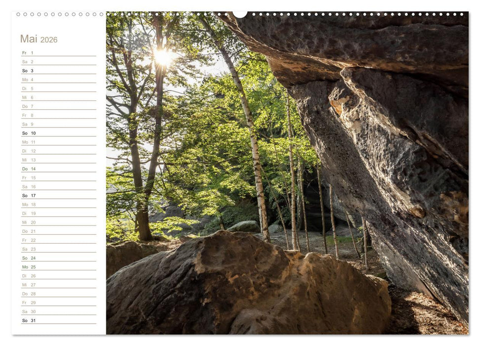 Der Sonne entgegen – Elbsandstein (CALVENDO Wandkalender 2026)