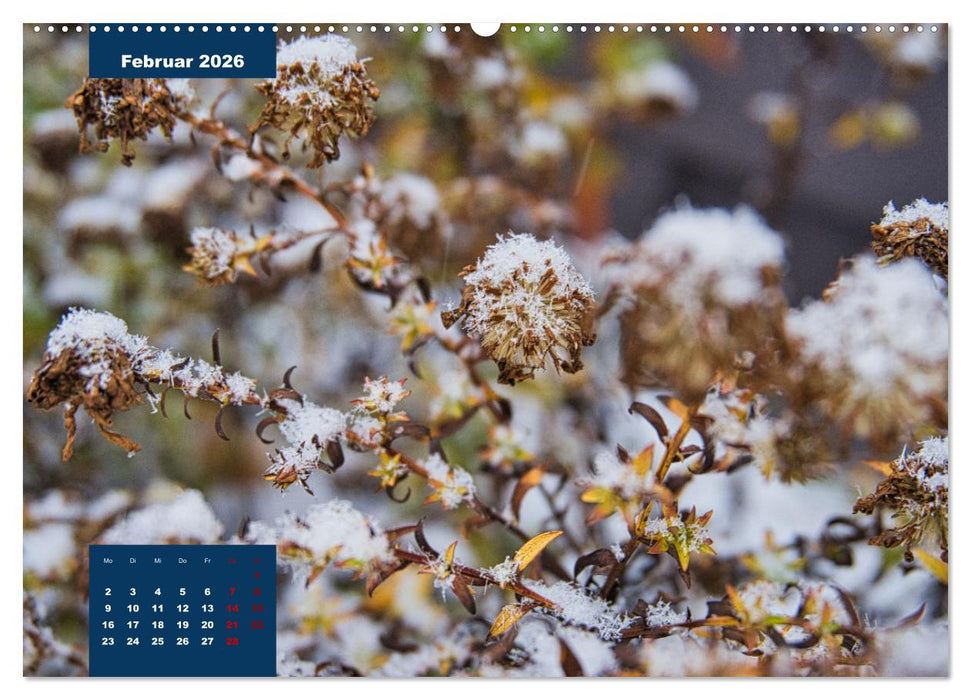 Winterstimmungen in Deutschland (CALVENDO Wandkalender 2026)