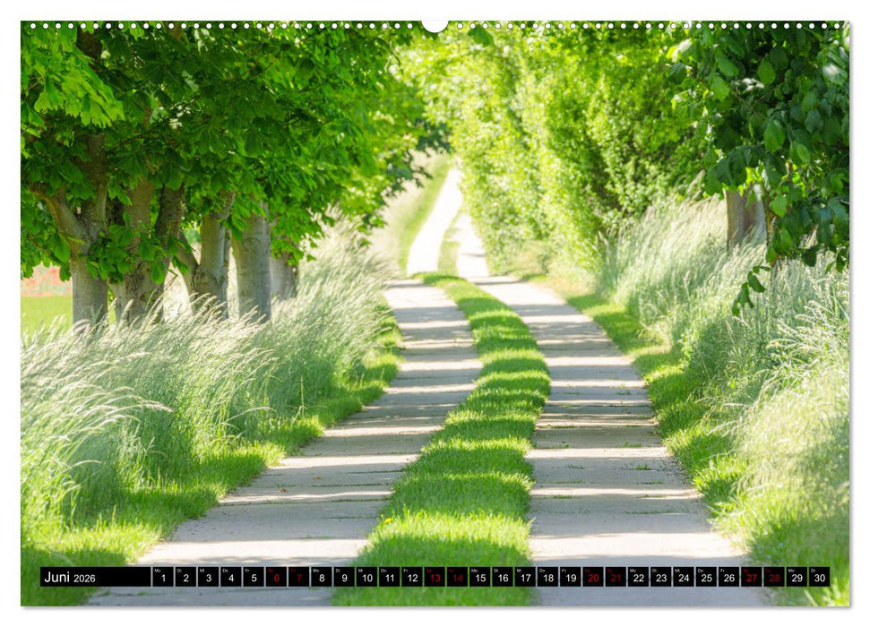 Natur und Tierparadies (CALVENDO Wandkalender 2026)