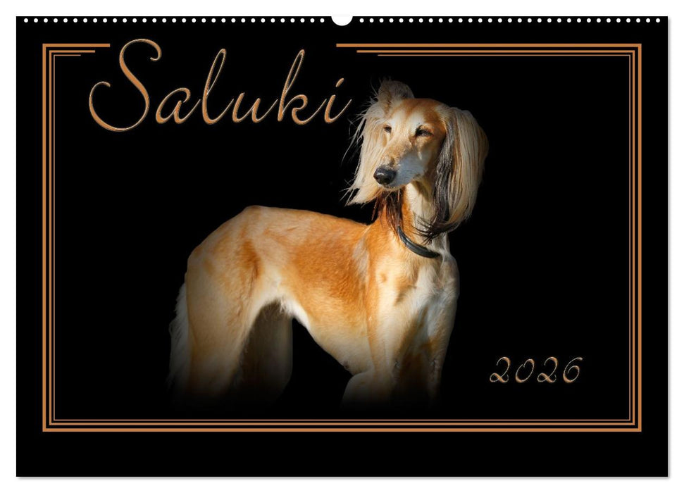 Saluki 2026 (CALVENDO Wandkalender 2026)